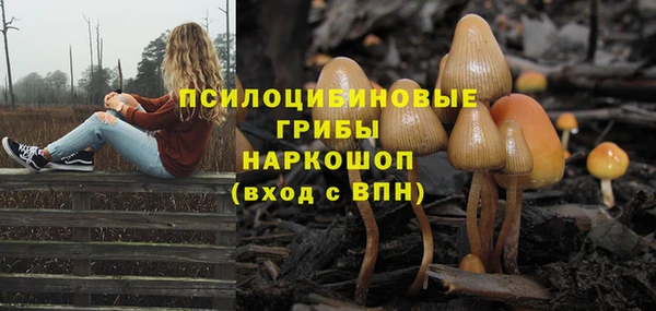 гашишное масло Снежногорск
