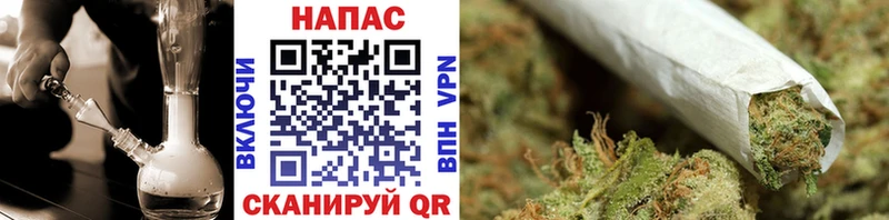 Шишки марихуана сатива  мориарти наркотические препараты  Переславль-Залесский 